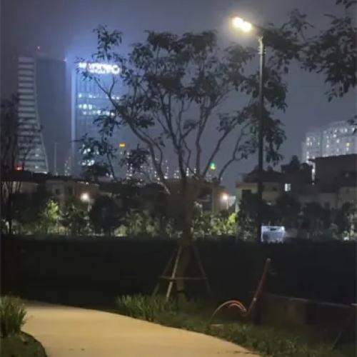 solar street light 06